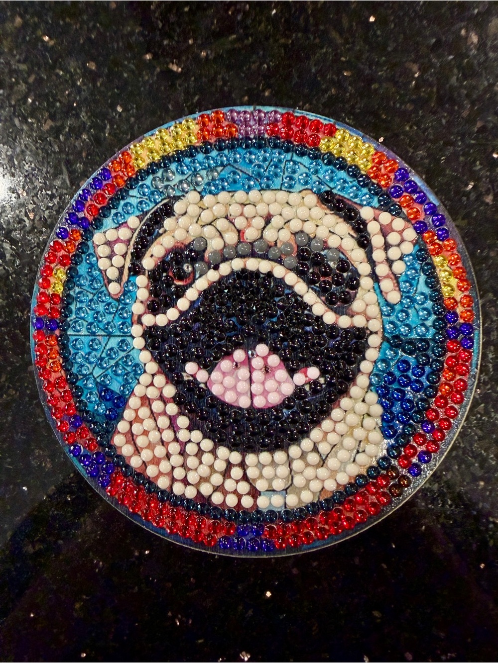 Custom Mosaic Dog Coasters (Set of 7) - Picture 6 of 9